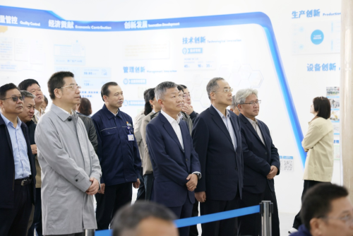 图片13
